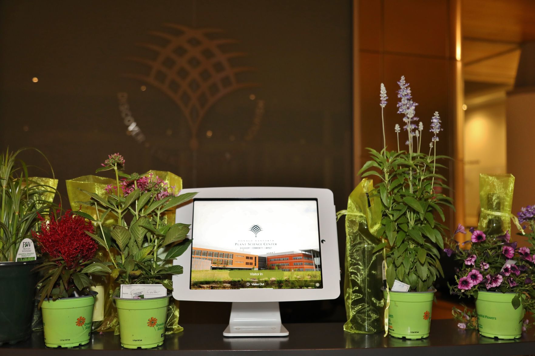 2019-Party-with-the-Plants-046.JPG